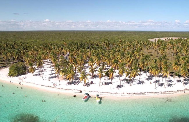 Saona Island - Full-Day Tour with Hotel Pick-Up - Foto 8